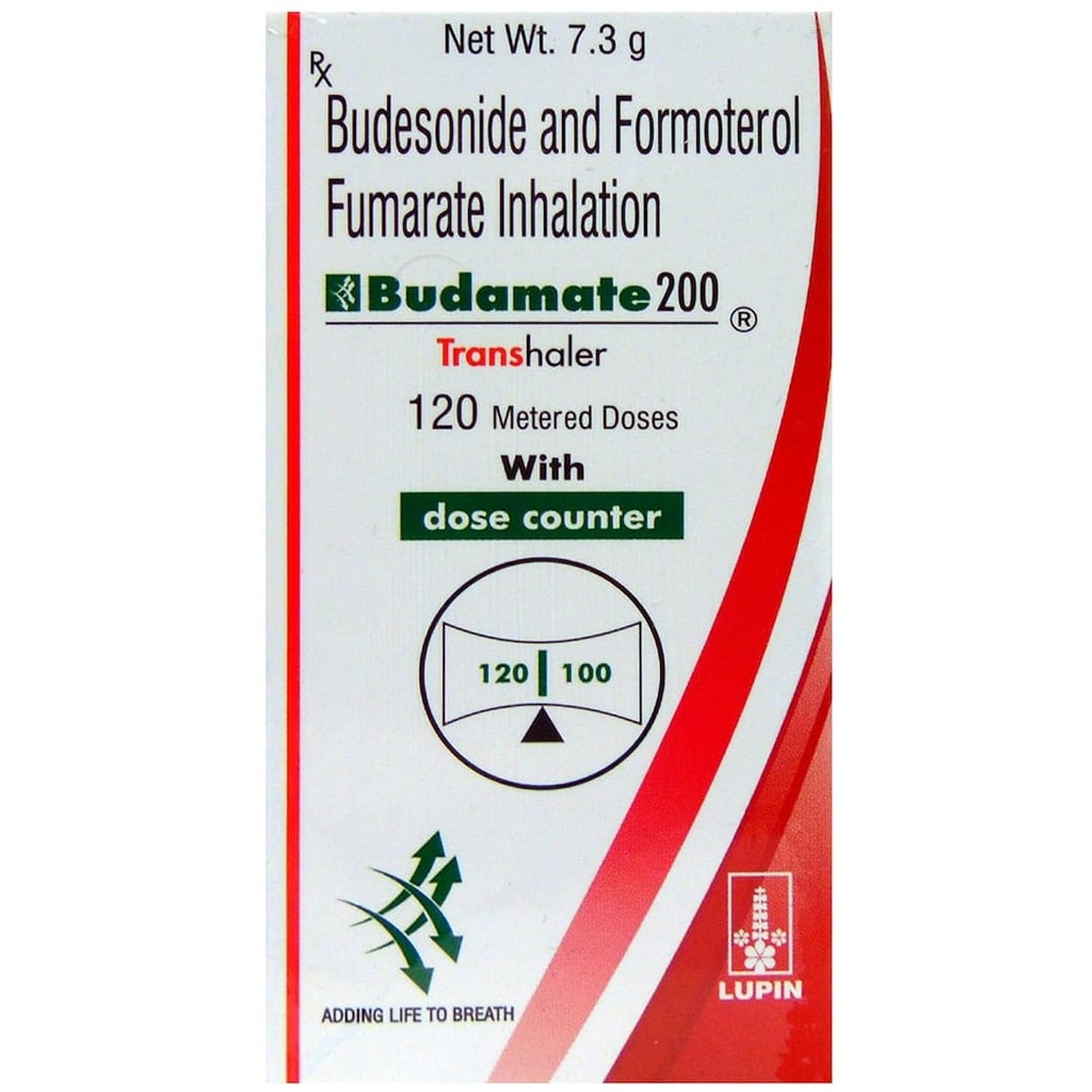 BUDAMATE-200 TRANSHALE