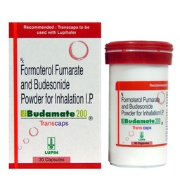 BUDAMATE-200 TRANSCAPS